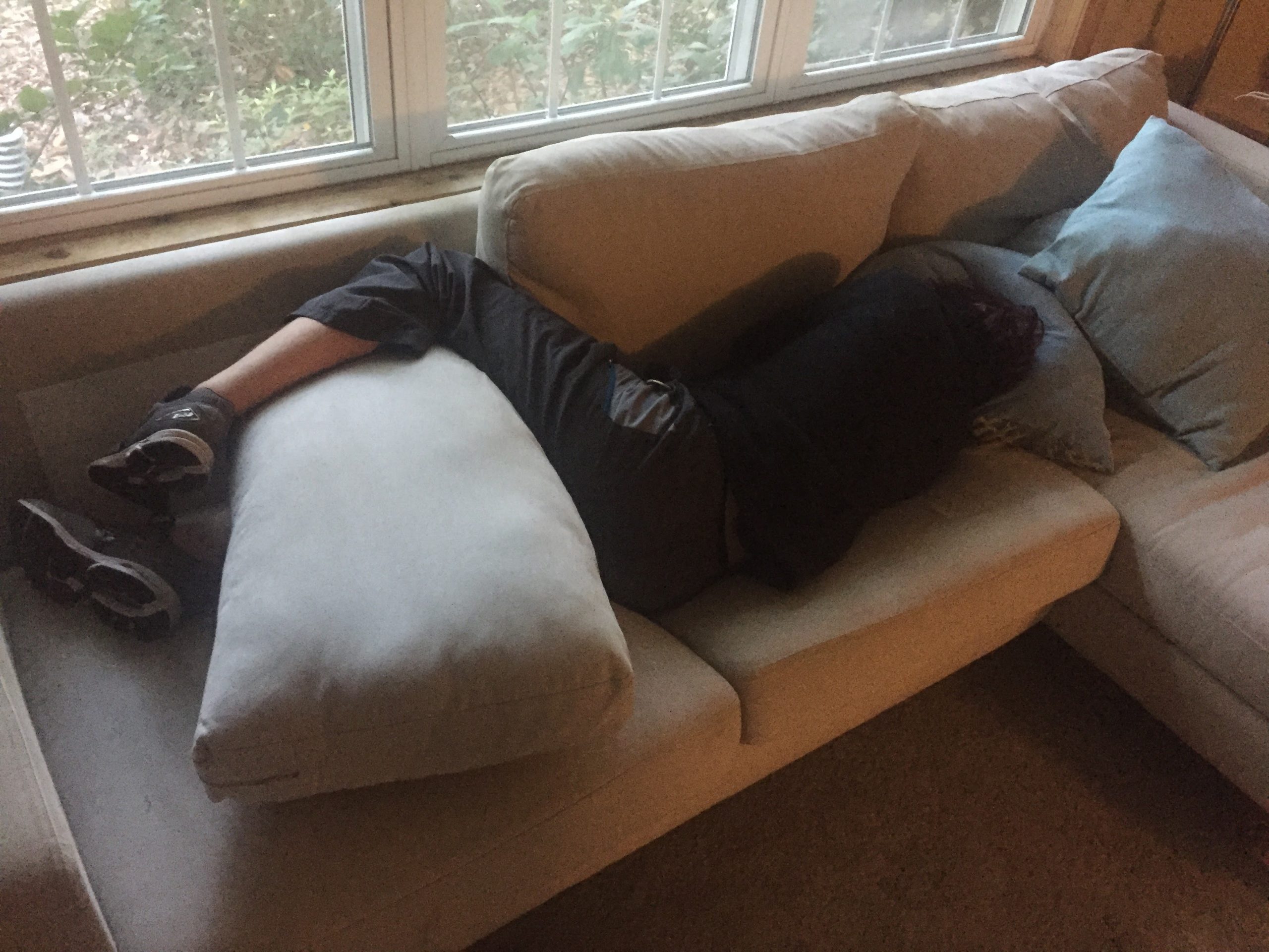 Avner sleeping on the sofa early May 2017